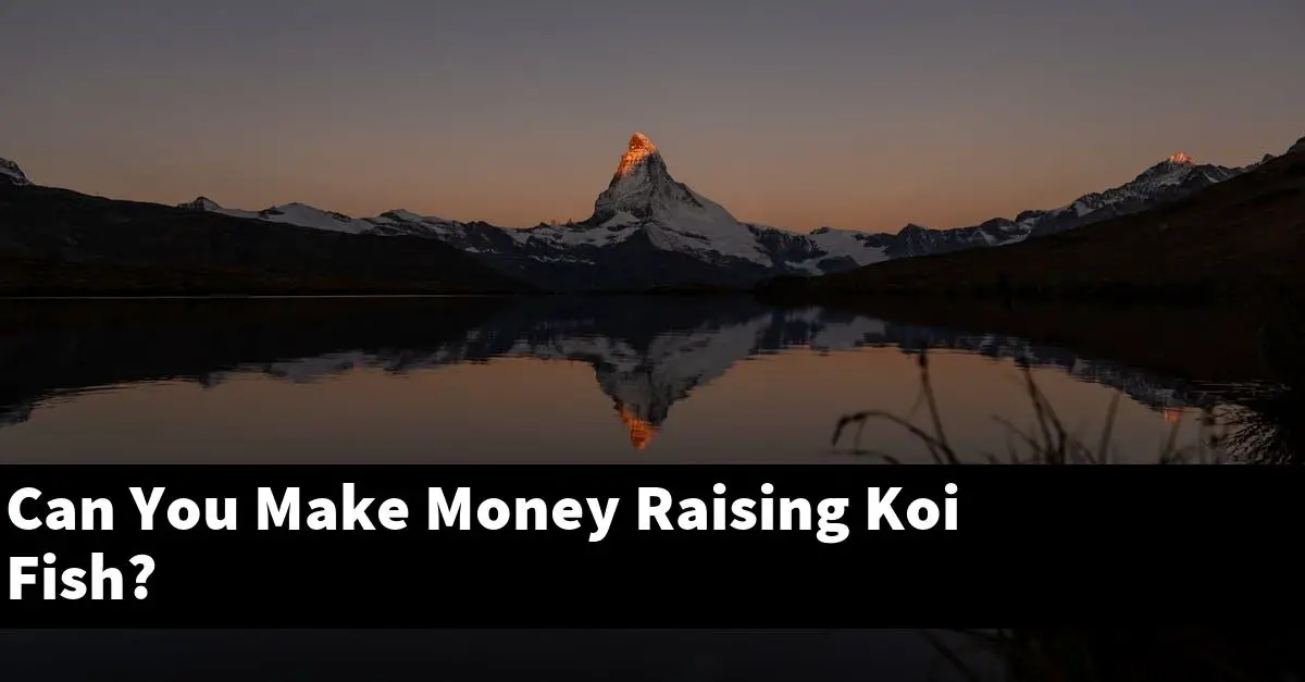Can You Make Money Raising Koi Fish?