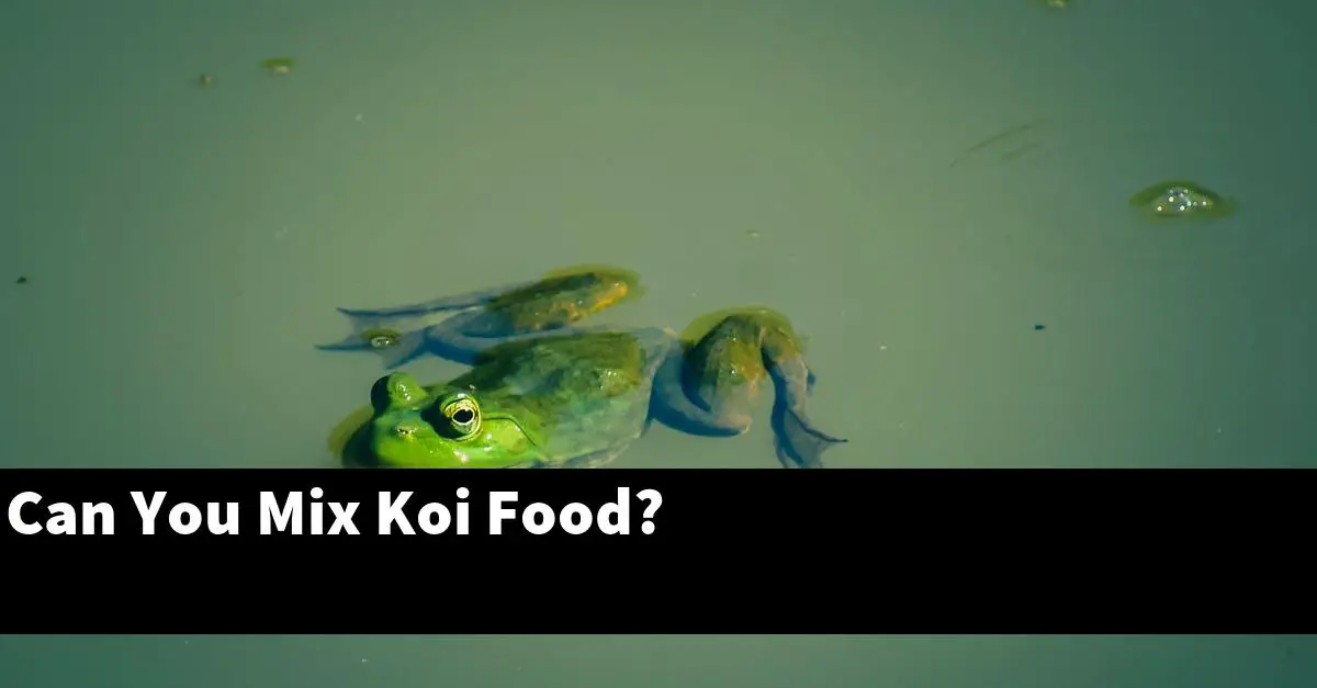 Can You Mix Koi Food?