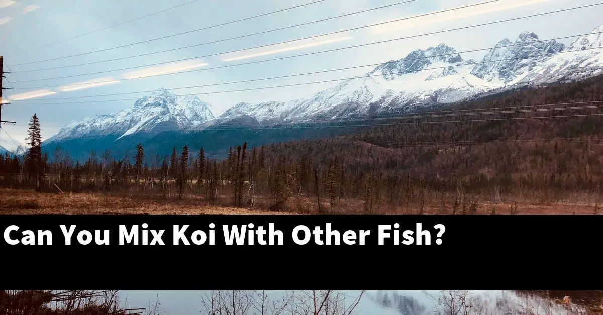 Can You Mix Koi With Other Fish?