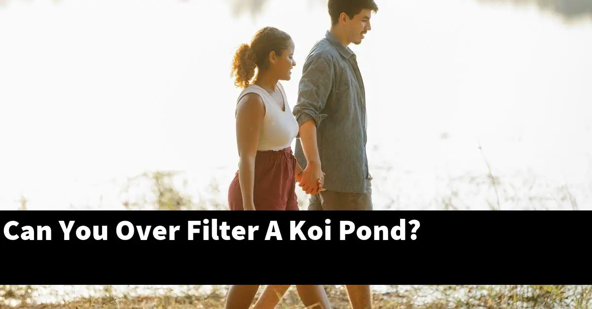 Can You Over Filter A Koi Pond?