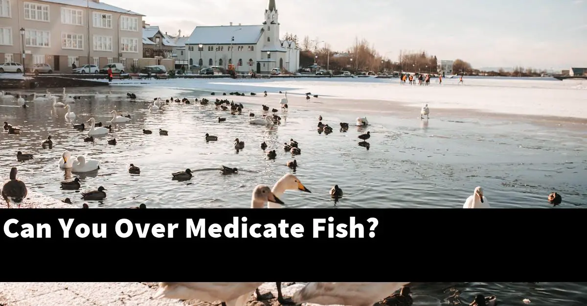 Can You Over Medicate Fish?