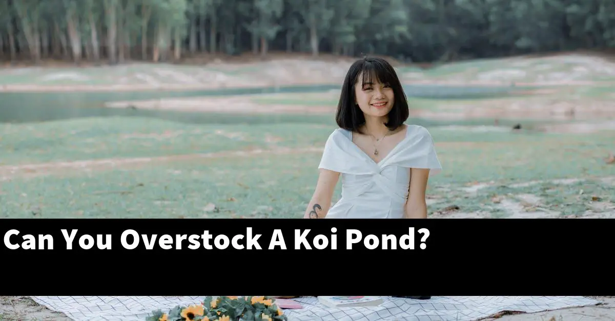 Can You Overstock A Koi Pond?