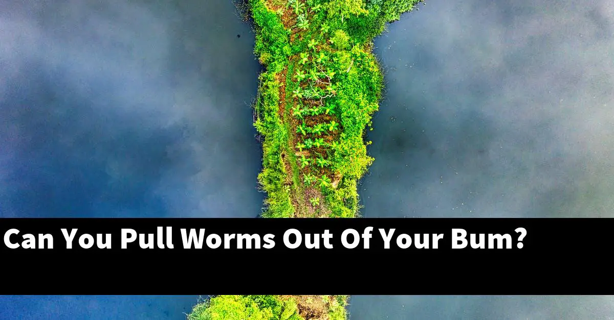 Can You Pull Worms Out Of Your Bum?