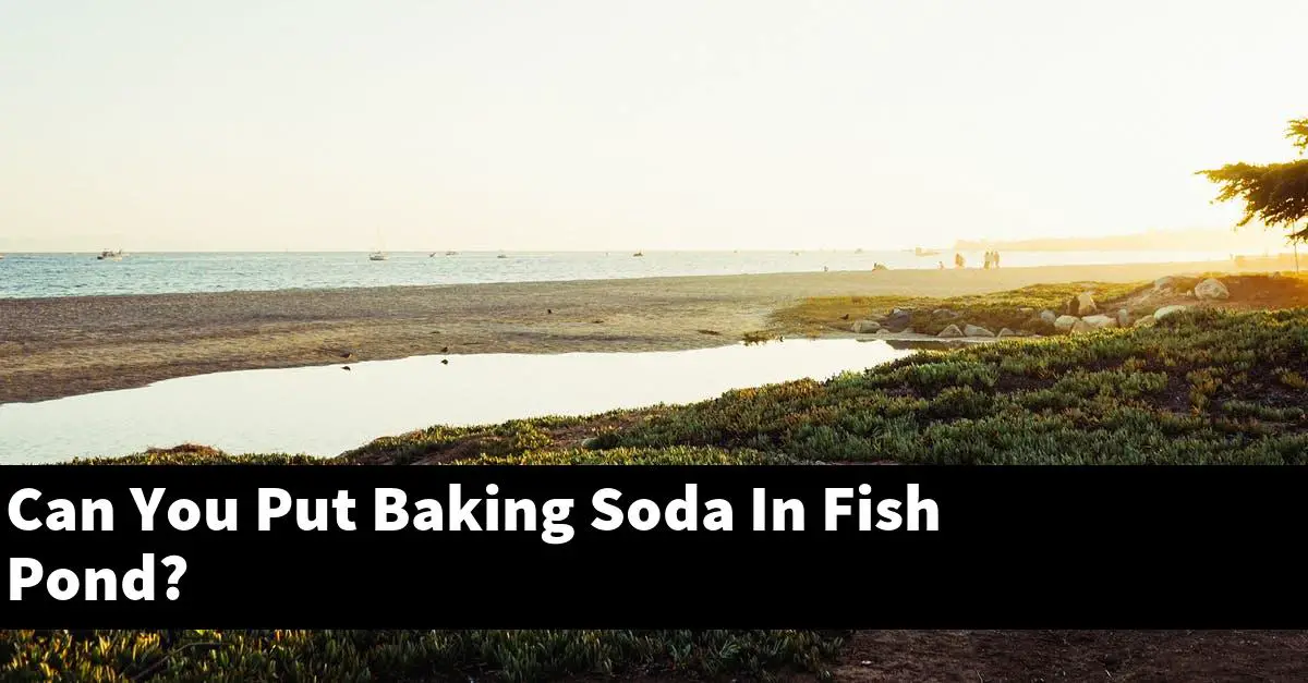 Can You Put Baking Soda In Fish Pond?