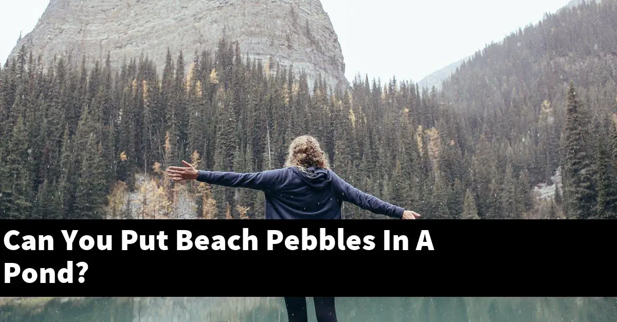 Can You Put Beach Pebbles In A Pond?