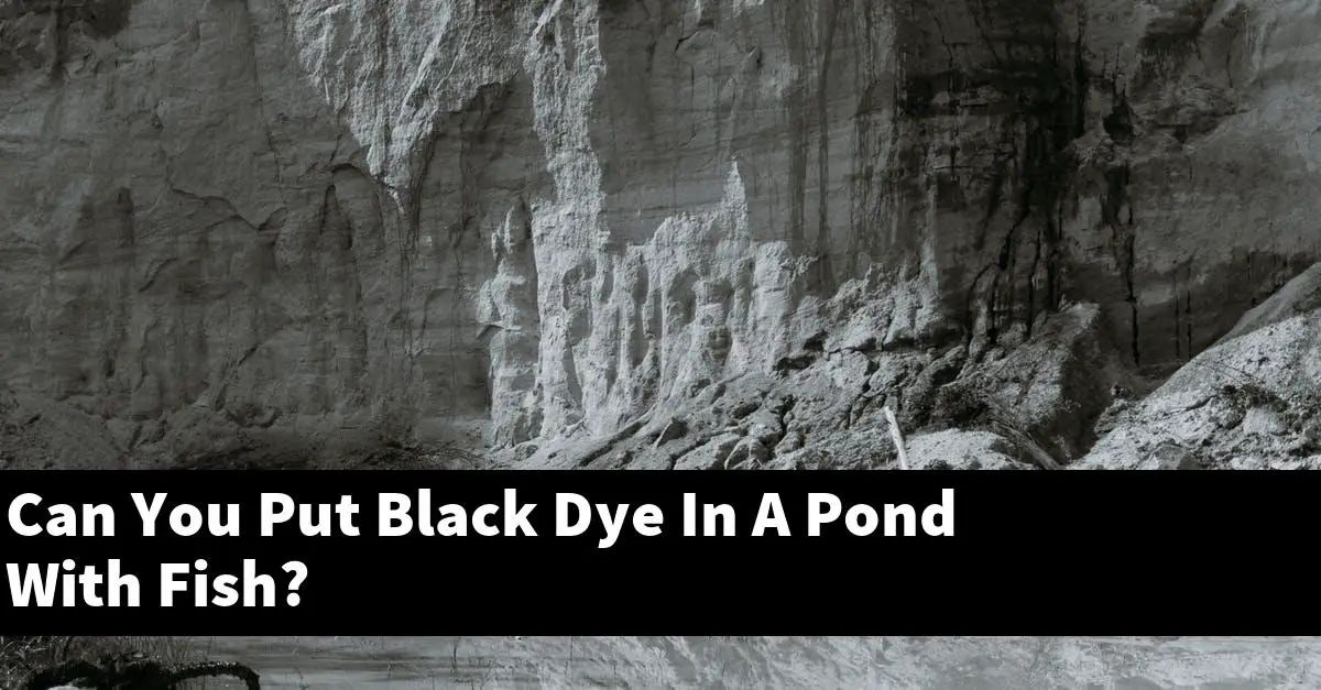 Can You Put Black Dye In A Pond With Fish?