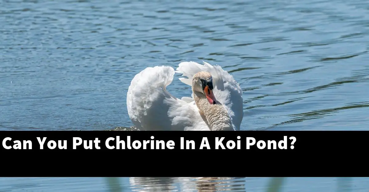 Can You Put Chlorine In A Koi Pond?