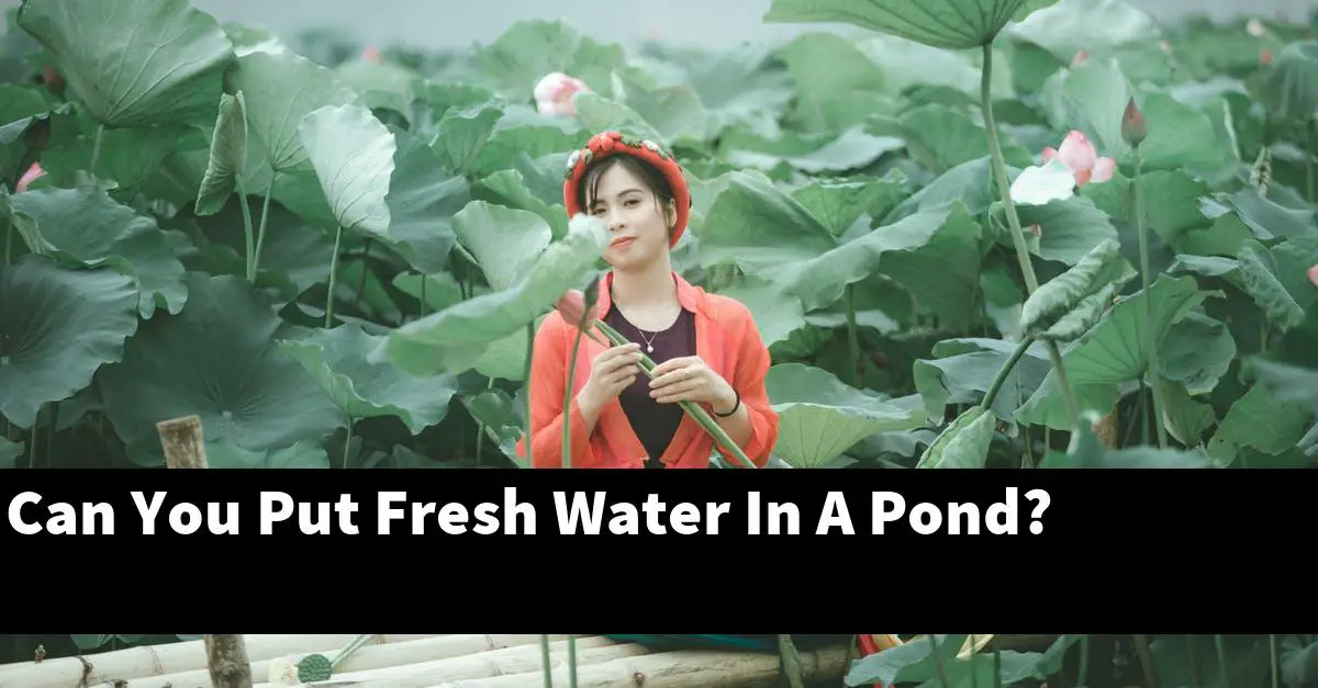 Can You Put Fresh Water In A Pond?