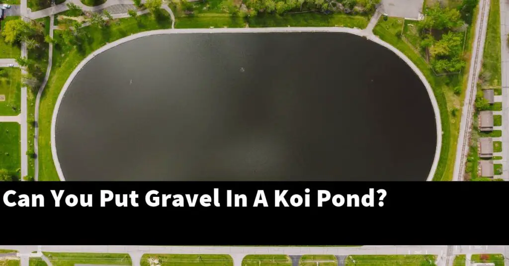 Can You Put Gravel In A Koi Pond? [2024 Guide] Gold Koi Fish