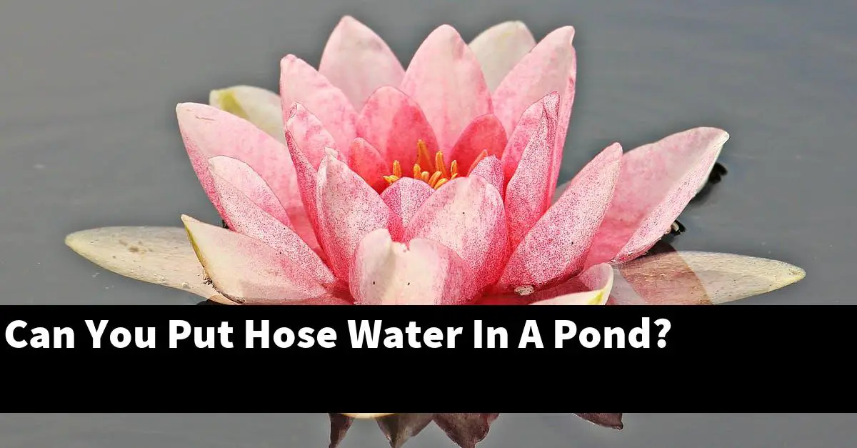 Can You Put Hose Water In A Pond?