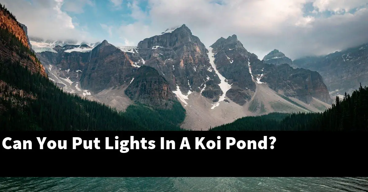 Can You Put Lights In A Koi Pond?