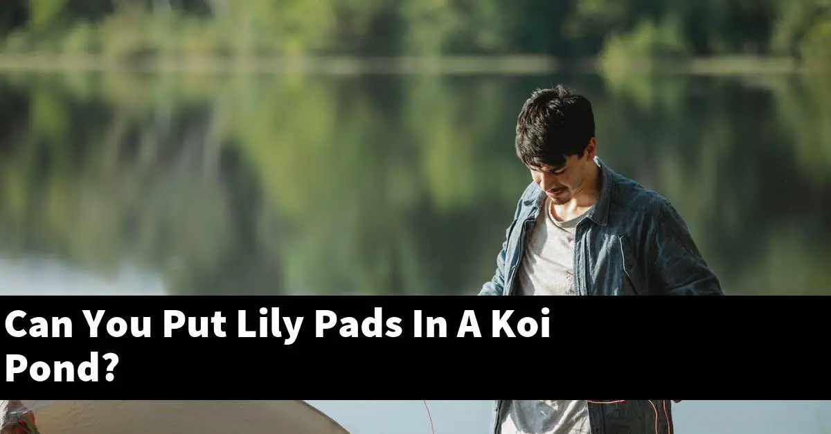 Can You Put Lily Pads In A Koi Pond?