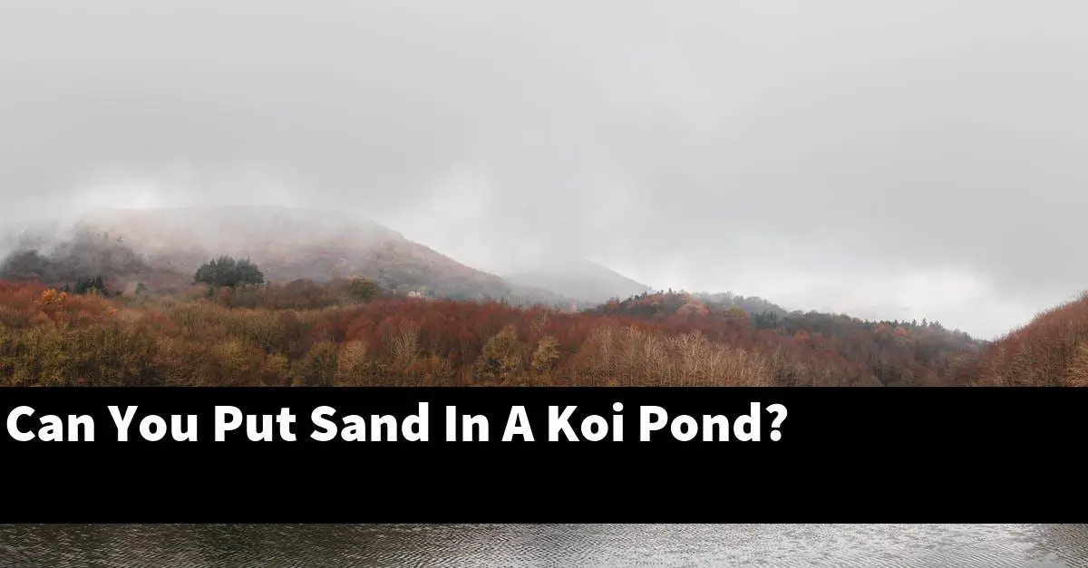 Can You Put Sand In A Koi Pond?