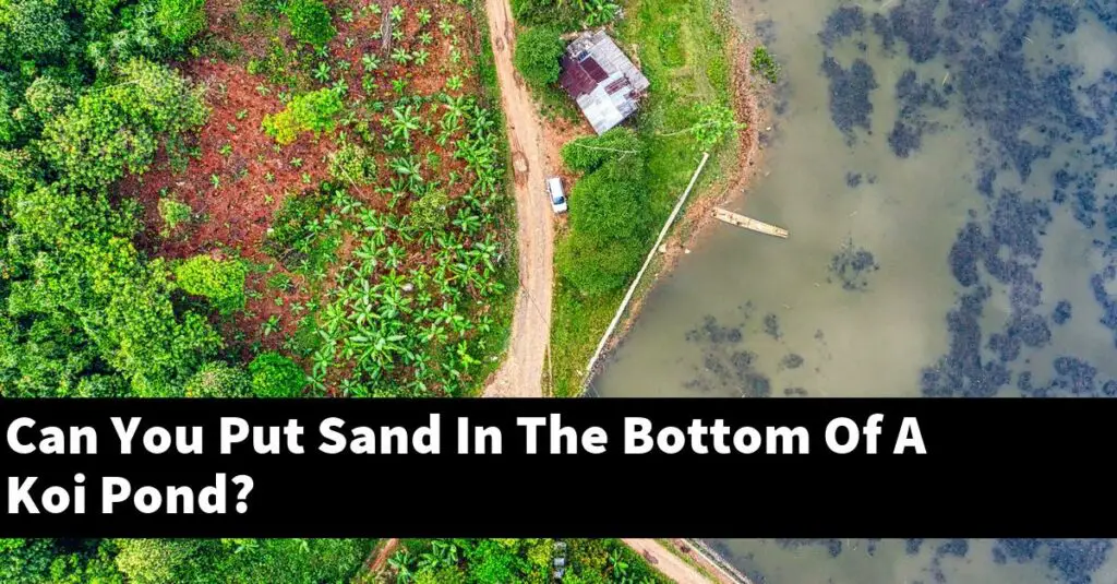 Can You Put Sand In The Bottom Of A Koi Pond? [2024 Guide] Gold Koi Fish