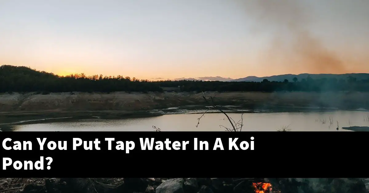 Can You Put Tap Water In A Koi Pond?