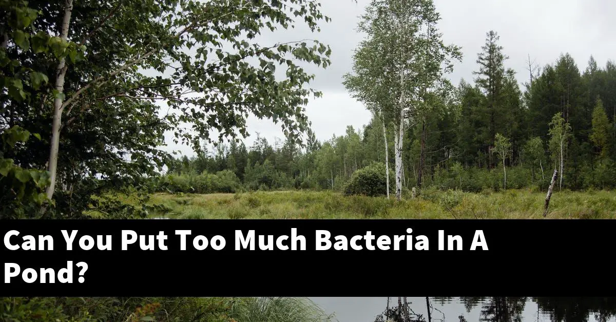 Can You Put Too Much Bacteria In A Pond?