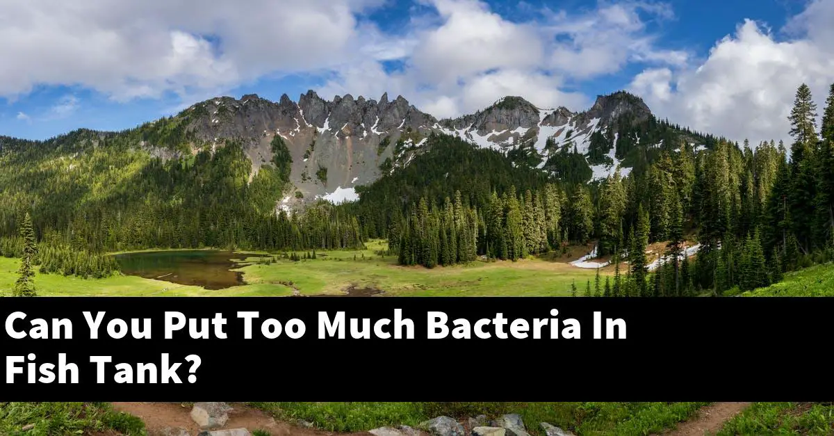 Can You Put Too Much Bacteria In Fish Tank?