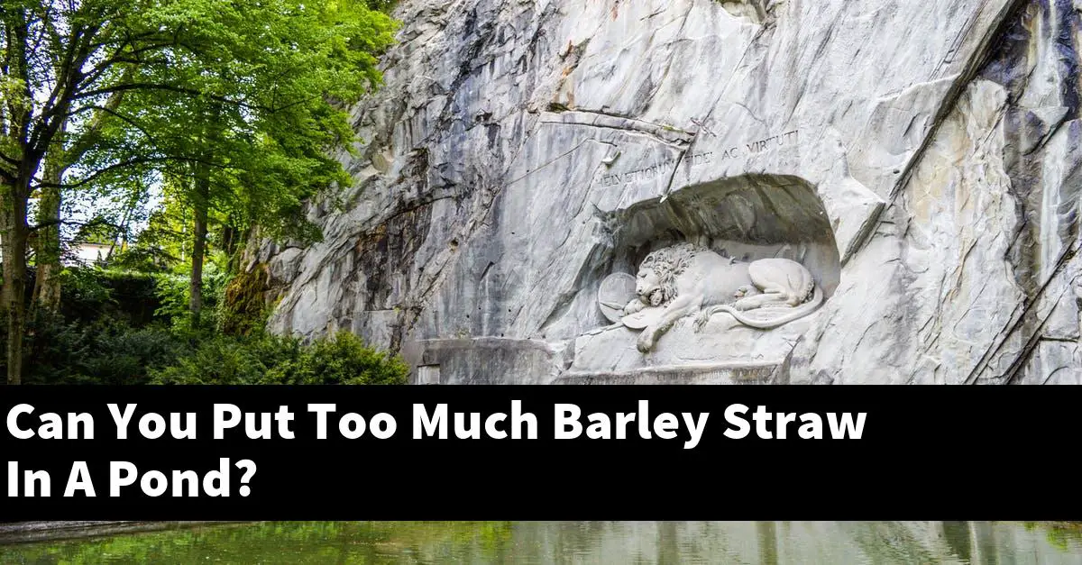 Can You Put Too Much Barley Straw In A Pond?