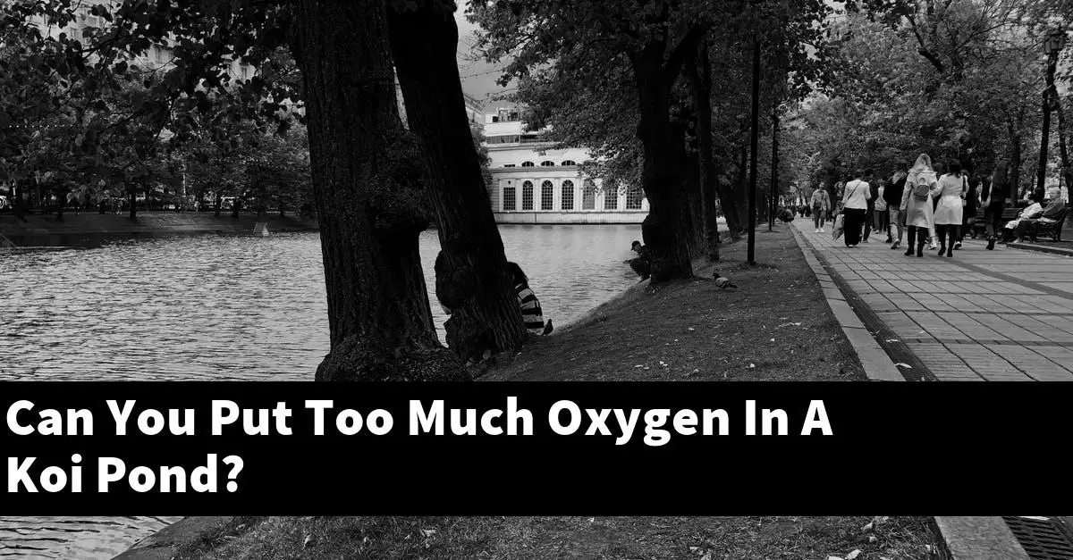 Can You Put Too Much Oxygen In A Koi Pond?