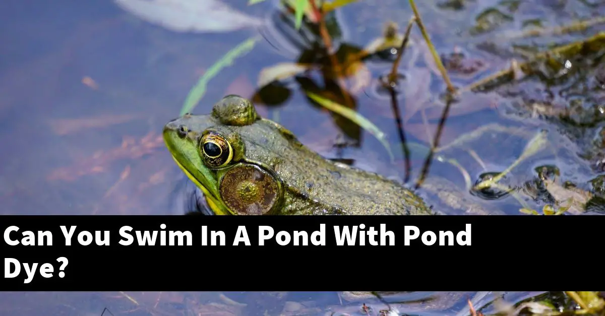 Can You Swim In A Pond With Pond Dye?