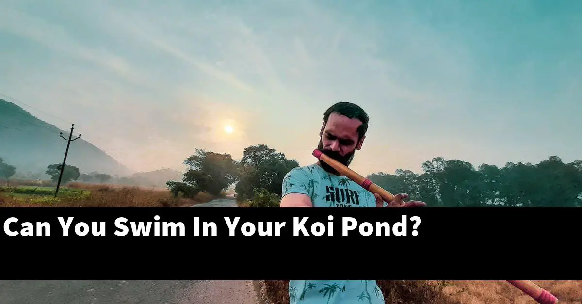 Can You Swim In Your Koi Pond?