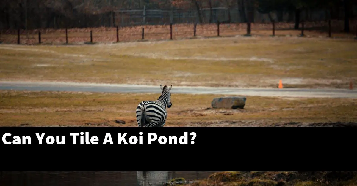 Can You Tile A Koi Pond?