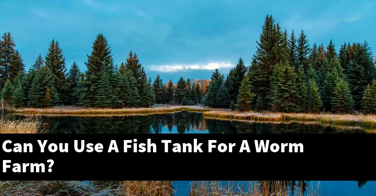 Can You Use A Fish Tank For A Worm Farm?