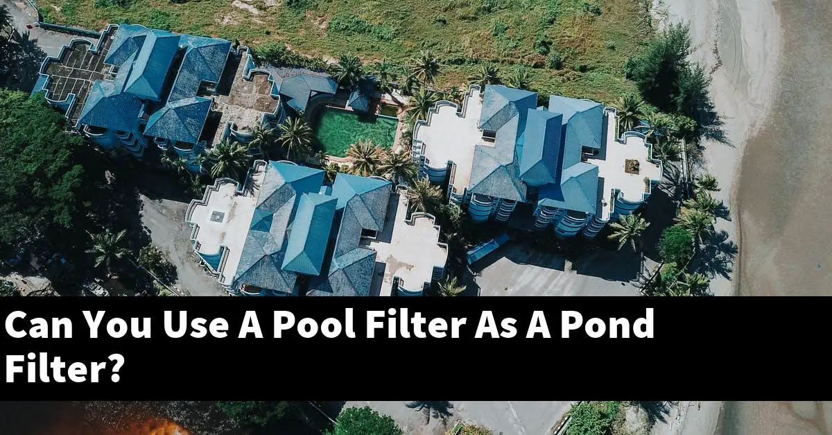 Can You Use A Pool Filter As A Pond Filter?