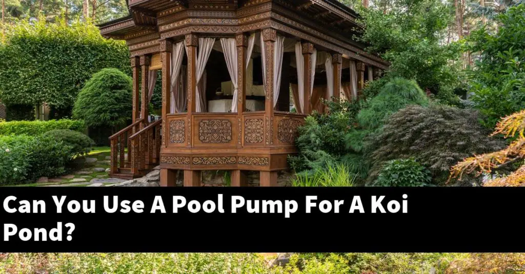 Can You Use A Pool Pump For A Koi Pond? [2024 Guide] Gold Koi Fish