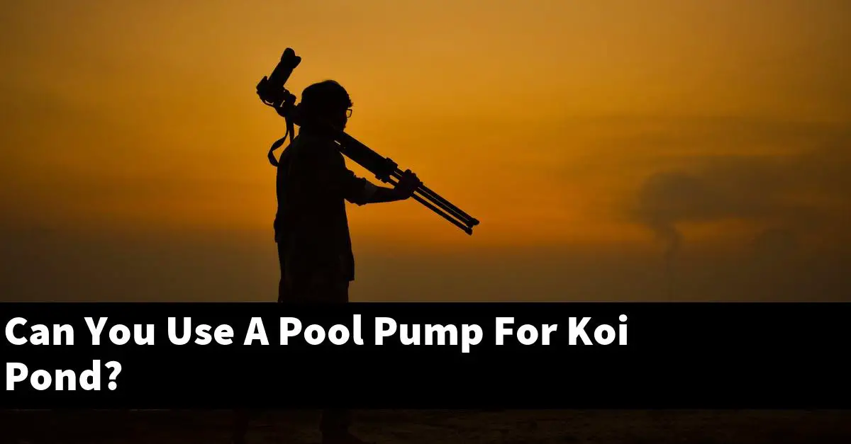 Can You Use A Pool Pump For Koi Pond?
