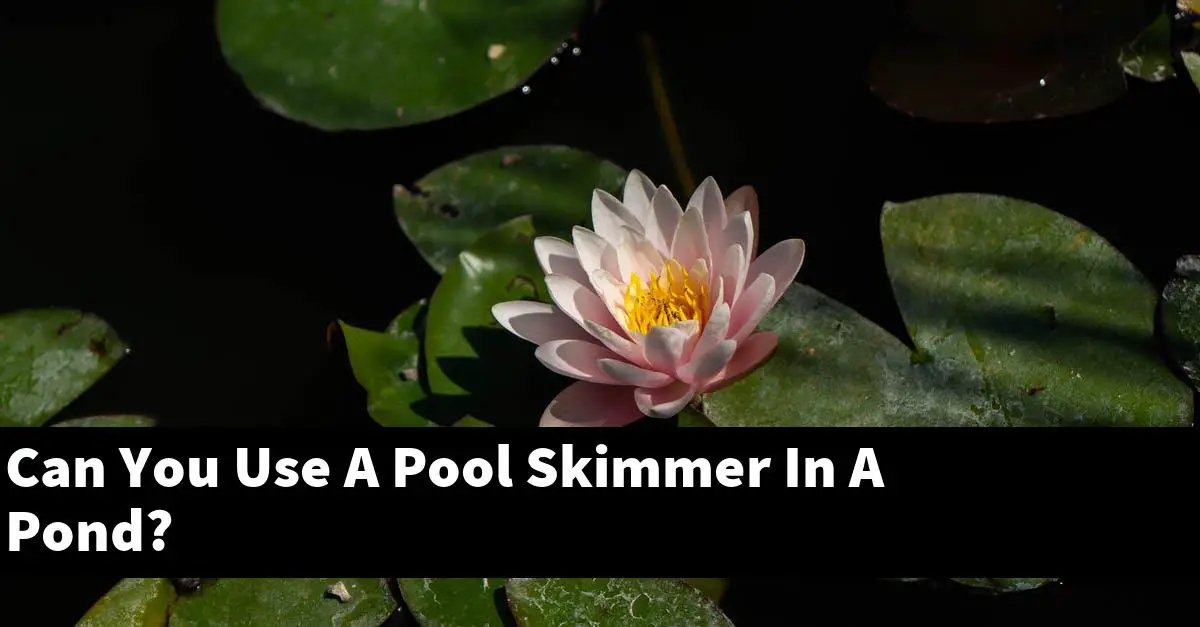 Can You Use A Pool Skimmer In A Pond?