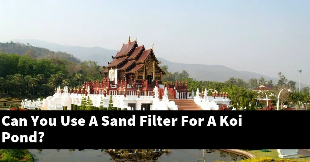 Can You Use A Sand Filter For A Koi Pond? [2024 Guide] Gold Koi Fish