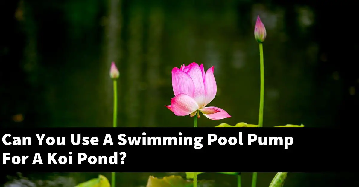 Can You Use A Swimming Pool Pump For A Koi Pond?