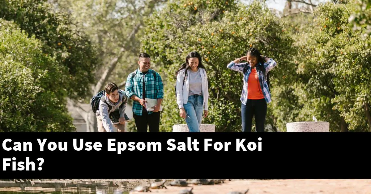 Can You Use Epsom Salt For Koi Fish?