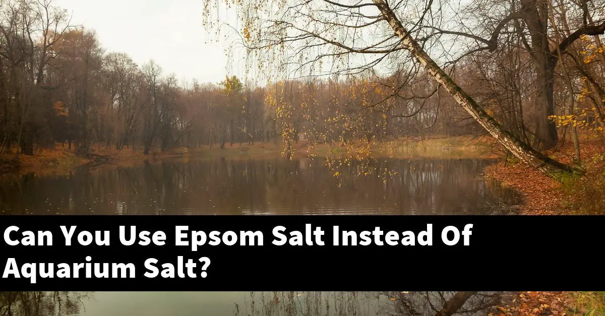 Can You Use Epsom Salt Instead Of Aquarium Salt?