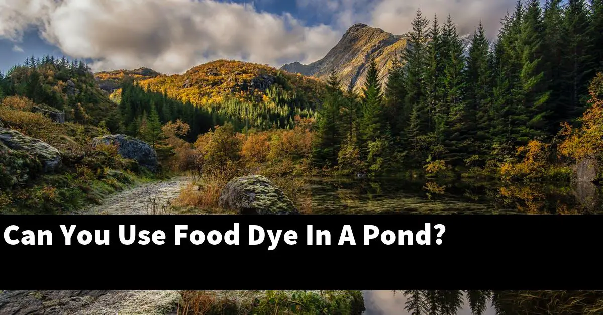 Can You Use Food Dye In A Pond?