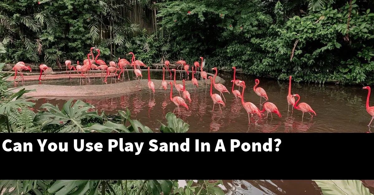 Can You Use Play Sand In A Pond?