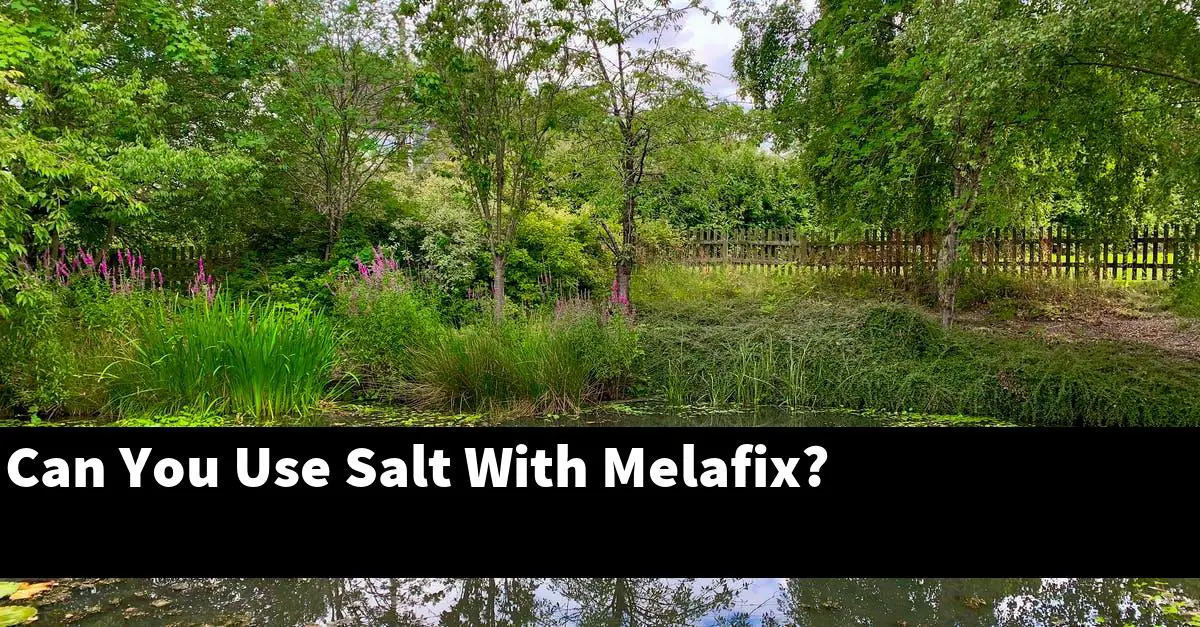 Can You Use Salt With Melafix?