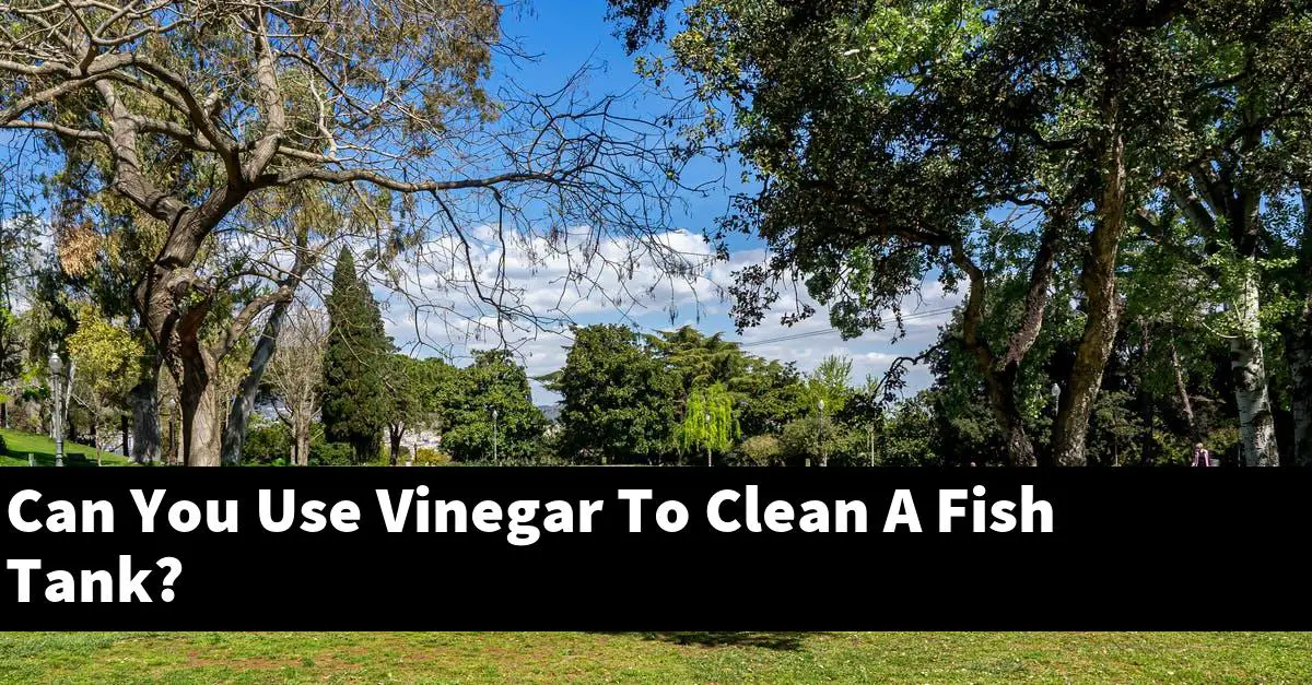Can You Use Vinegar To Clean A Fish Tank?