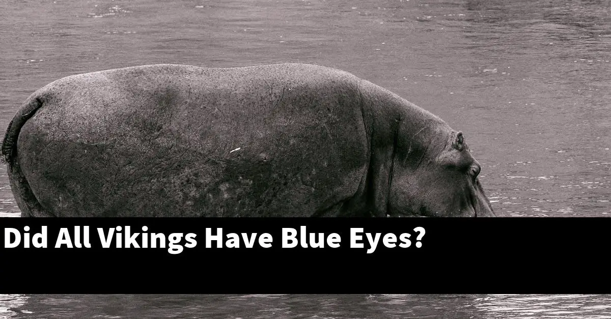 Did All Vikings Have Blue Eyes?