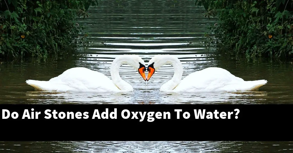 Do Air Stones Add Oxygen To Water?