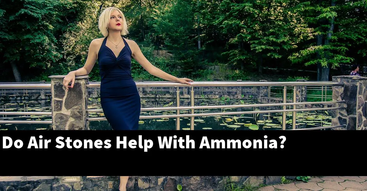 Do Air Stones Help With Ammonia?
