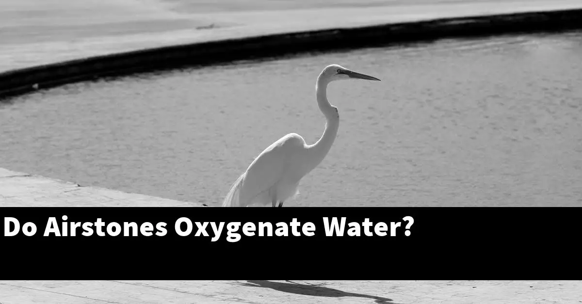 Do Airstones Oxygenate Water?