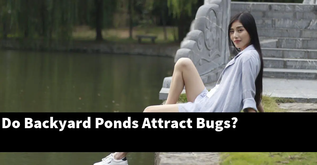 Do Backyard Ponds Attract Bugs?