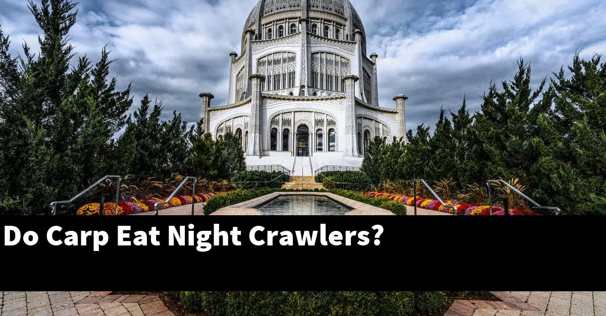 Do Carp Eat Night Crawlers?