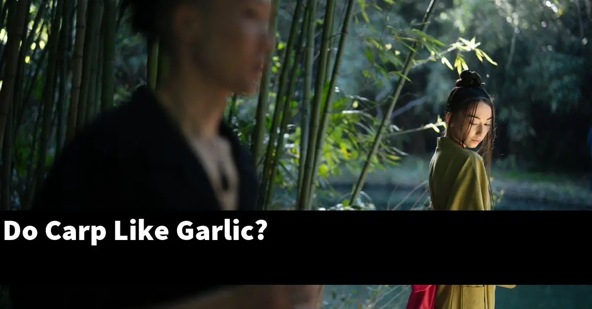 Do Carp Like Garlic?