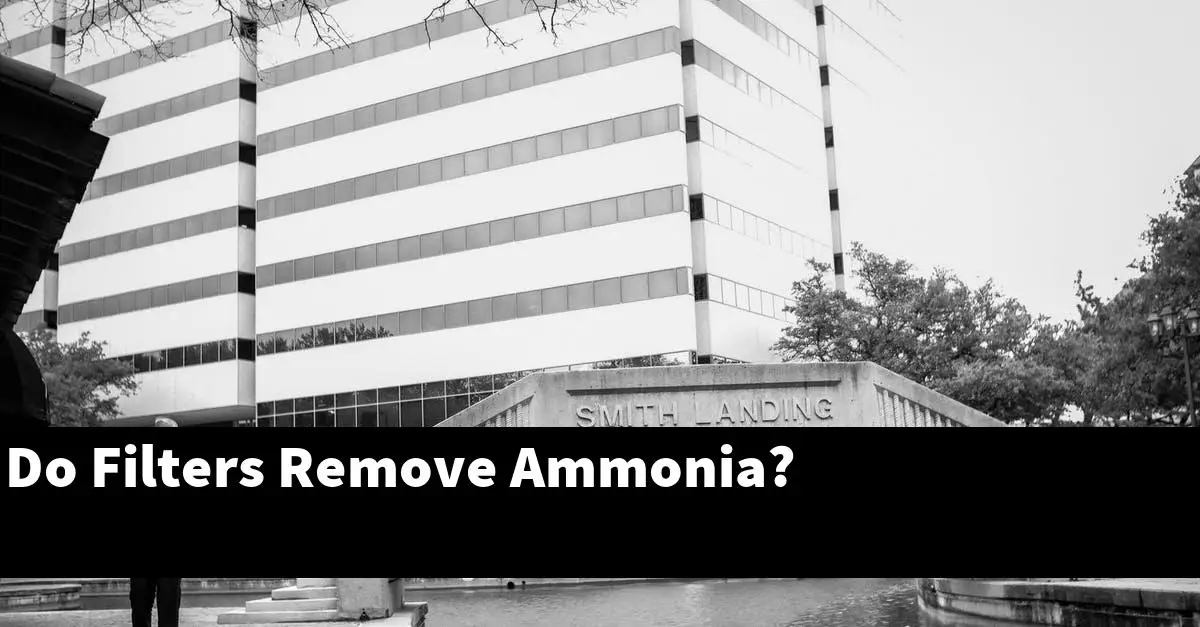 Do Filters Remove Ammonia?