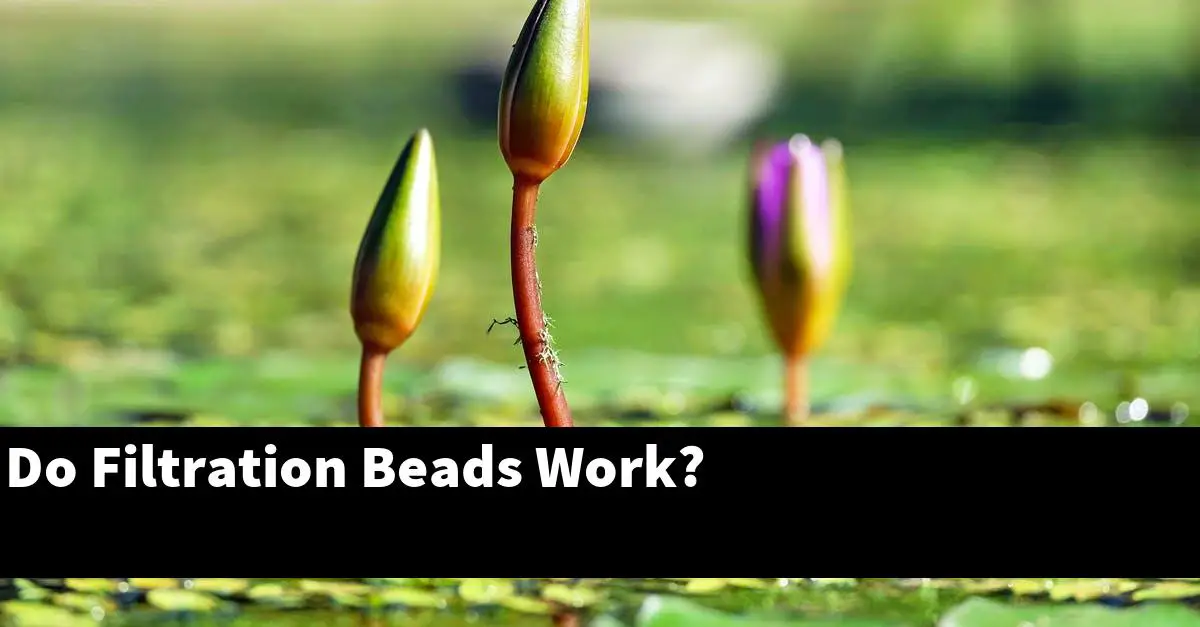 Do Filtration Beads Work?