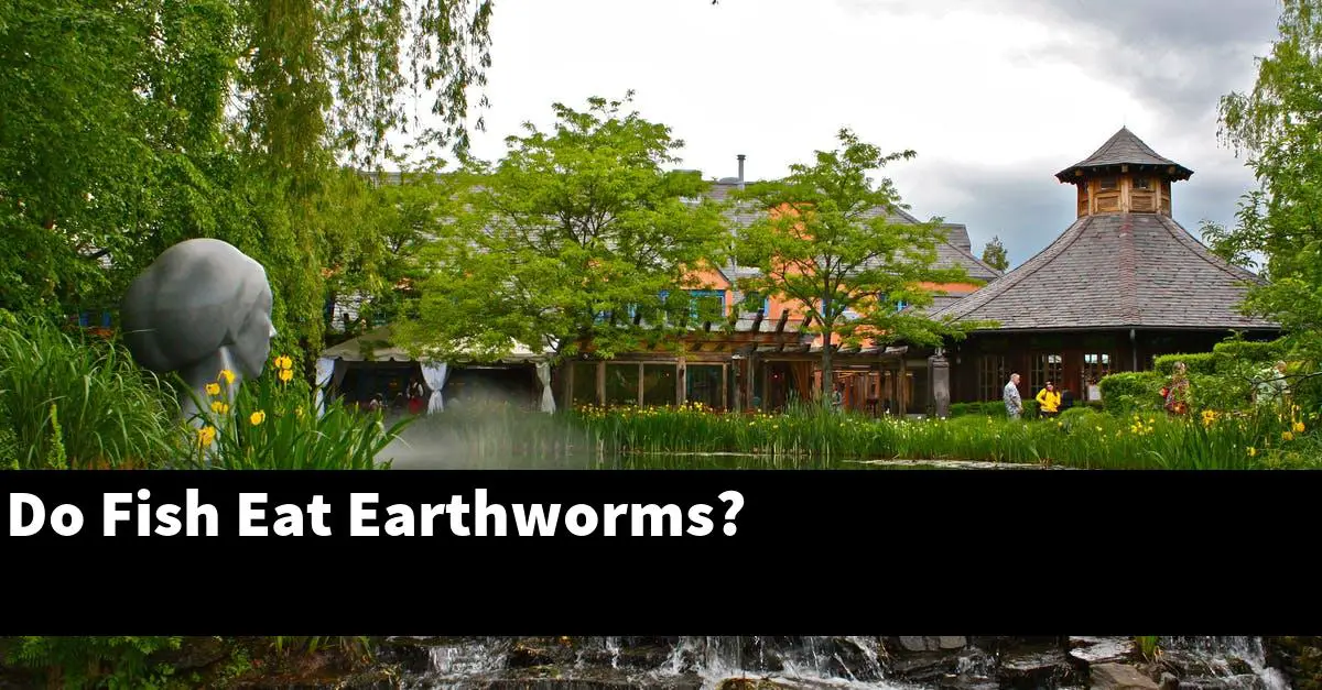Do Fish Eat Earthworms?