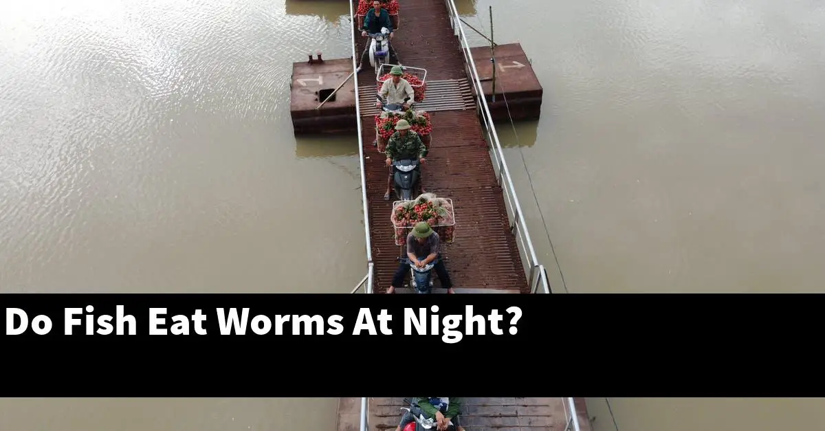 Do Fish Eat Worms At Night?